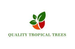 quality tropical trees