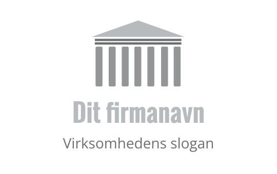 regnskab