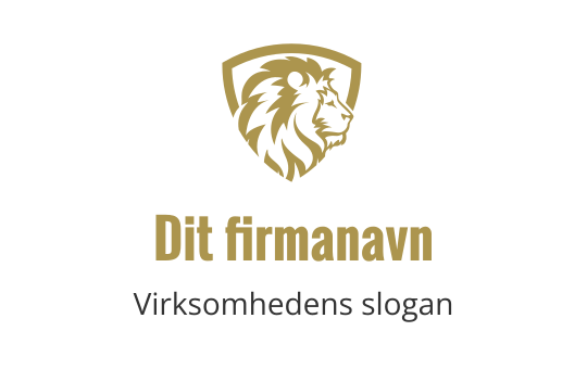 regnskab